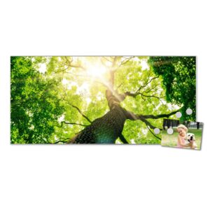 Banjado Magnettafel 78x37cm Magnetwand  Silber Aus Metall Magnetpinnwand Pinnwand Inkl. 4 Magnete Motiv Baumkrone