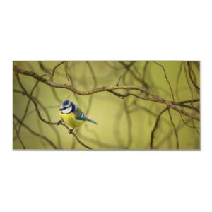 Banjado Magnettafel 78x37cm Magnetwand  Silber Aus Metall Magnetpinnwand Pinnwand Inkl. 4 Magnete Motiv Blaumeise Im Baum