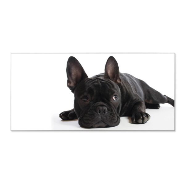 Banjado Magnettafel 78x37cm Magnetwand  Silber Aus Metall Magnetpinnwand Pinnwand Inkl. 4 Magnete Motiv Bulldogge