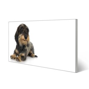 Banjado Magnettafel 78x37cm Magnetwand  Silber Aus Metall Magnetpinnwand Pinnwand Inkl. 4 Magnete Motiv Dackel