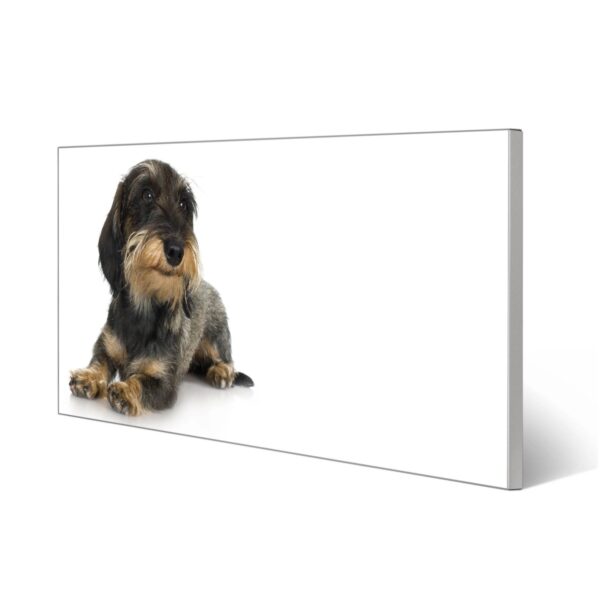 Banjado Magnettafel 78x37cm Magnetwand  Silber Aus Metall Magnetpinnwand Pinnwand Inkl. 4 Magnete Motiv Dackel