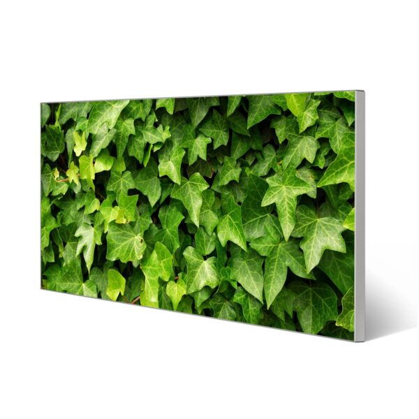 Banjado Magnettafel 78x37cm Magnetwand  Silber Aus Metall Magnetpinnwand Pinnwand Inkl. 4 Magnete Motiv Efeu