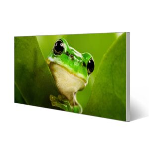 Banjado Magnettafel 78x37cm Magnetwand  Silber Aus Metall Magnetpinnwand Pinnwand Inkl. 4 Magnete Motiv Frosch