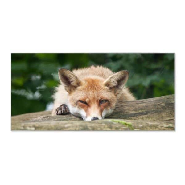 Banjado Magnettafel 78x37cm Magnetwand  Silber Aus Metall Magnetpinnwand Pinnwand Inkl. 4 Magnete Motiv Fuchs Relax