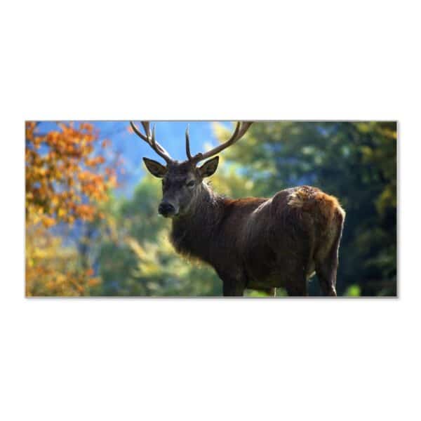 Banjado Magnettafel 78x37cm Magnetwand  Silber Aus Metall Magnetpinnwand Pinnwand Inkl. 4 Magnete Motiv Hirsch
