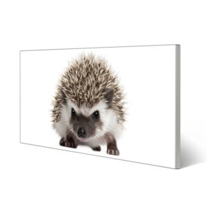 Banjado Magnettafel 78x37cm Magnetwand  Silber Aus Metall Magnetpinnwand Pinnwand Inkl. 4 Magnete Motiv Igel