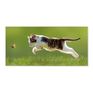 Banjado Magnettafel 78x37cm Magnetwand  Silber Aus Metall Magnetpinnwand Pinnwand Inkl. 4 Magnete Motiv Jagende Katze