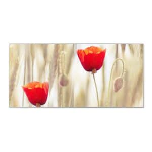 Banjado Magnettafel 78x37cm Magnetwand  Silber Aus Metall Magnetpinnwand Pinnwand Inkl. 4 Magnete Motiv Klatschmohn