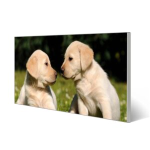 Banjado Magnettafel 78x37cm Magnetwand  Silber Aus Metall Magnetpinnwand Pinnwand Inkl. 4 Magnete Motiv Labrador