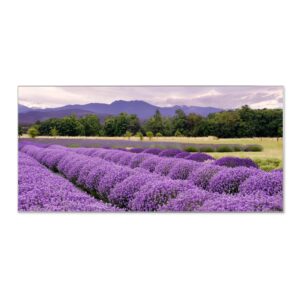 Banjado Magnettafel 78x37cm Magnetwand  Silber Aus Metall Magnetpinnwand Pinnwand Inkl. 4 Magnete Motiv Lavendel 1