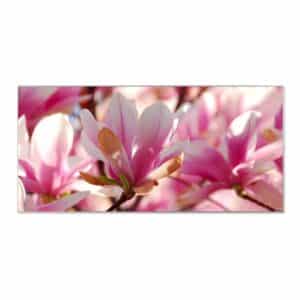 Banjado Magnettafel 78x37cm Magnetwand  Silber Aus Metall Magnetpinnwand Pinnwand Inkl. 4 Magnete Motiv Magnolia