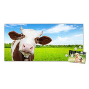 Banjado Magnettafel 78x37cm Magnetwand  Silber Aus Metall Magnetpinnwand Pinnwand Inkl. 4 Magnete Motiv Pardon