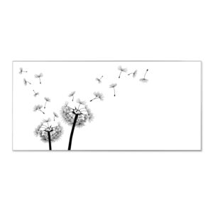 Banjado Magnettafel 78x37cm Magnetwand  Silber Aus Metall Magnetpinnwand Pinnwand Inkl. 4 Magnete Motiv Pusteblume 2