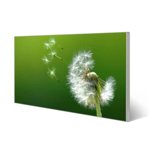 Banjado Magnettafel 78x37cm Magnetwand  Silber Aus Metall Magnetpinnwand Pinnwand Inkl. 4 Magnete Motiv Pusteblume