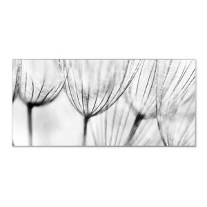 Banjado Magnettafel 78x37cm Magnetwand  Silber Aus Metall Magnetpinnwand Pinnwand Inkl. 4 Magnete Motiv Pusteblumen Sw
