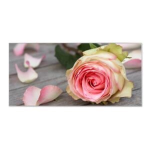 Banjado Magnettafel 78x37cm Magnetwand  Silber Aus Metall Magnetpinnwand Pinnwand Inkl. 4 Magnete Motiv Rosa Rose