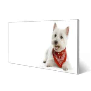 Banjado Magnettafel 78x37cm Magnetwand  Silber Aus Metall Magnetpinnwand Pinnwand Inkl. 4 Magnete Motiv Westie