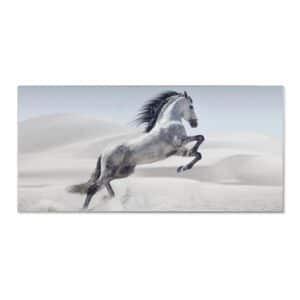 Banjado Magnettafel 78x37cm Magnetwand  Silber Aus Metall Magnetpinnwand Pinnwand Inkl. 4 Magnete Motiv Wildes Pferd