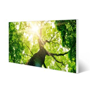 Banjado Magnettafel 78x37cm Magnetwand  Weiß Aus Metall Magnetpinnwand Pinnwand Inkl. 4 Magnete Motiv Baumkrone