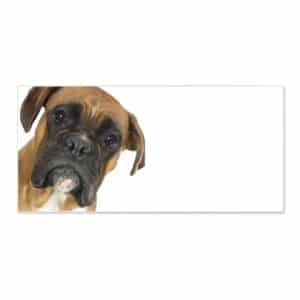 Banjado Magnettafel 78x37cm Magnetwand  Weiß Aus Metall Magnetpinnwand Pinnwand Inkl. 4 Magnete Motiv Boxer