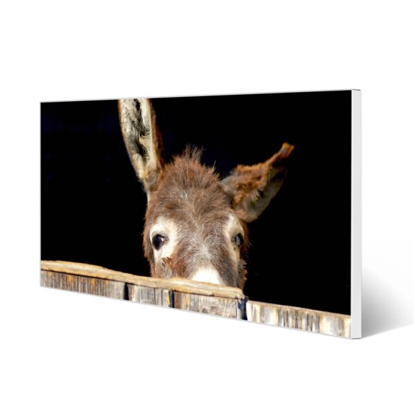 Banjado Magnettafel 78x37cm Magnetwand  Weiß Aus Metall Magnetpinnwand Pinnwand Inkl. 4 Magnete Motiv Esel