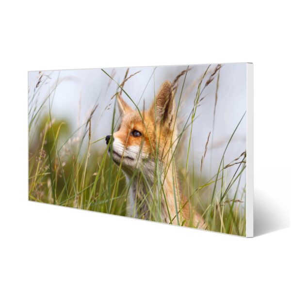 Banjado Magnettafel 78x37cm Magnetwand  Weiß Aus Metall Magnetpinnwand Pinnwand Inkl. 4 Magnete Motiv Fuchs