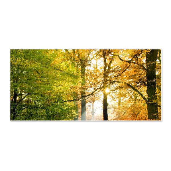 Banjado Magnettafel 78x37cm Magnetwand  Weiß Aus Metall Magnetpinnwand Pinnwand Inkl. 4 Magnete Motiv Herbstwald