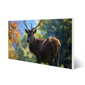 Banjado Magnettafel 78x37cm Magnetwand  Weiß Aus Metall Magnetpinnwand Pinnwand Inkl. 4 Magnete Motiv Hirsch