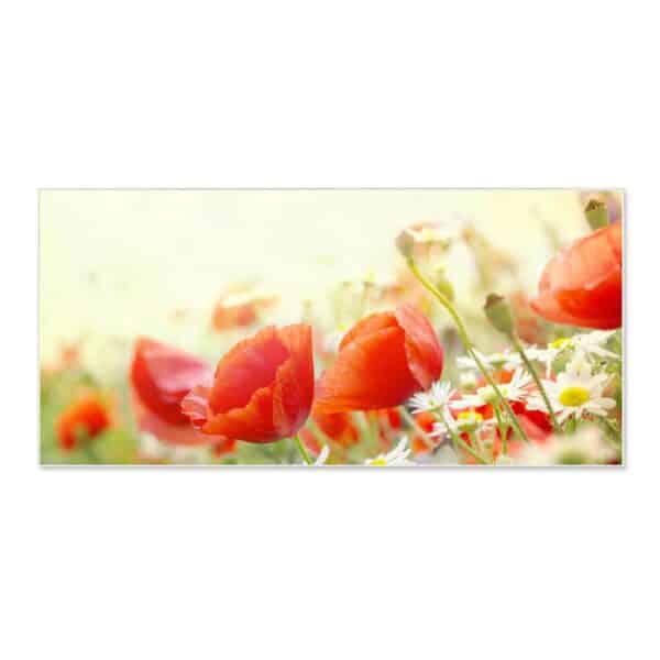 Banjado Magnettafel 78x37cm Magnetwand  Weiß Aus Metall Magnetpinnwand Pinnwand Inkl. 4 Magnete Motiv Kamille Und Mohn