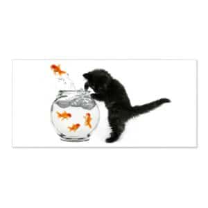 Banjado Magnettafel 78x37cm Magnetwand  Weiß Aus Metall Magnetpinnwand Pinnwand Inkl. 4 Magnete Motiv Katze Und Fisch