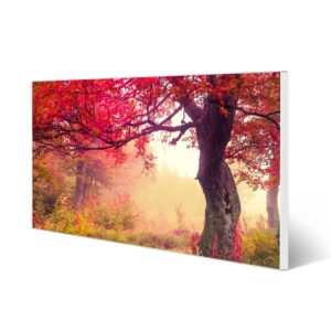 Banjado Magnettafel 78x37cm Magnetwand  Weiß Aus Metall Magnetpinnwand Pinnwand Inkl. 4 Magnete Motiv Lichtung Im Herbst