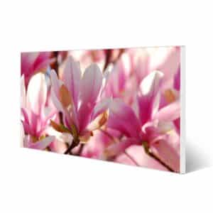 Banjado Magnettafel 78x37cm Magnetwand  Weiß Aus Metall Magnetpinnwand Pinnwand Inkl. 4 Magnete Motiv Magnolia