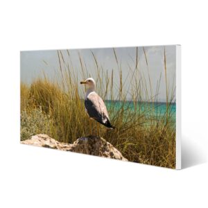 Banjado Magnettafel 78x37cm Magnetwand  Weiß Aus Metall Magnetpinnwand Pinnwand Inkl. 4 Magnete Motiv Möwen