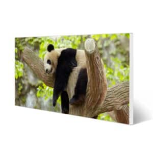 Banjado Magnettafel 78x37cm Magnetwand  Weiß Aus Metall Magnetpinnwand Pinnwand Inkl. 4 Magnete Motiv Panda