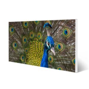Banjado Magnettafel 78x37cm Magnetwand  Weiß Aus Metall Magnetpinnwand Pinnwand Inkl. 4 Magnete Motiv Pfau