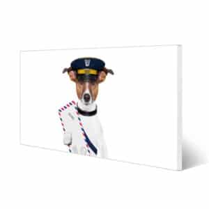 Banjado Magnettafel 78x37cm Magnetwand  Weiß Aus Metall Magnetpinnwand Pinnwand Inkl. 4 Magnete Motiv Postbote Jack Russel