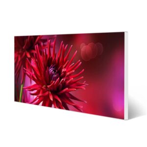 Banjado Magnettafel 78x37cm Magnetwand  Weiß Aus Metall Magnetpinnwand Pinnwand Inkl. 4 Magnete Motiv Rote Dahlien