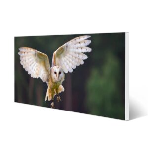 Banjado Magnettafel 78x37cm Magnetwand  Weiß Aus Metall Magnetpinnwand Pinnwand Inkl. 4 Magnete Motiv Schleiereule
