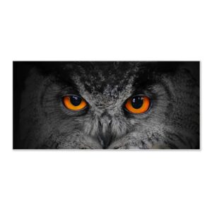 Banjado Magnettafel 78x37cm Magnetwand  Weiß Aus Metall Magnetpinnwand Pinnwand Inkl. 4 Magnete Motiv Uhu