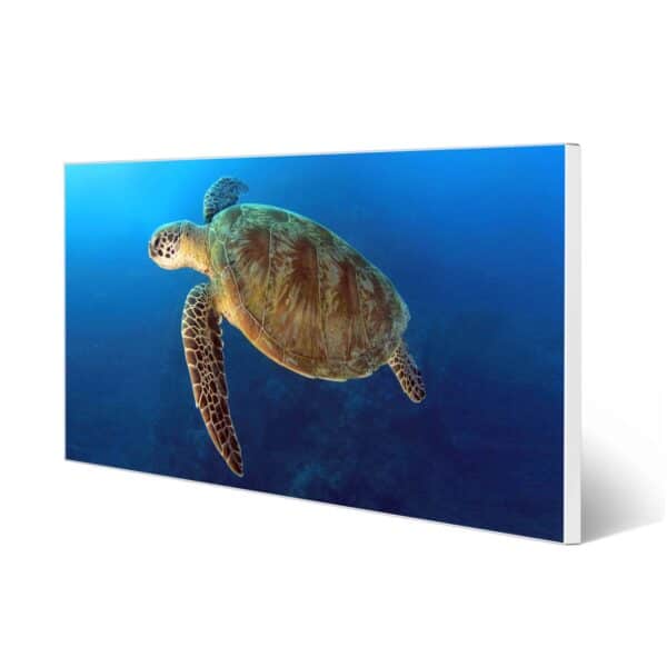 Banjado Magnettafel 78x37cm Magnetwand  Weiß Aus Metall Magnetpinnwand Pinnwand Inkl. 4 Magnete Motiv Wasserschildkröte