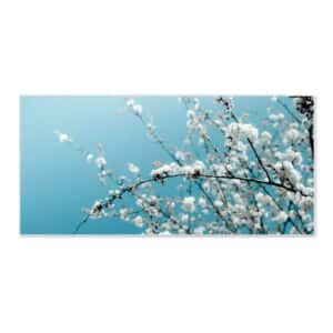 Banjado Magnettafel 78x37cm Magnetwand  Weiß Aus Metall Magnetpinnwand Pinnwand Inkl. 4 Magnete Motiv Weiße Kirschblüten