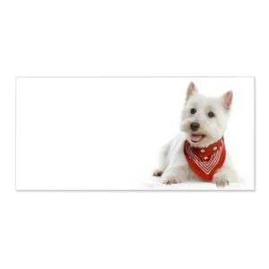 Banjado Magnettafel 78x37cm Magnetwand  Weiß Aus Metall Magnetpinnwand Pinnwand Inkl. 4 Magnete Motiv Westie