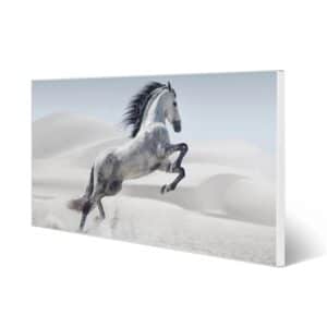 Banjado Magnettafel 78x37cm Magnetwand  Weiß Aus Metall Magnetpinnwand Pinnwand Inkl. 4 Magnete Motiv Wildes Pferd