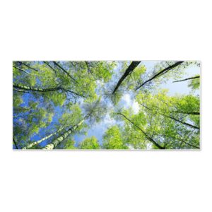 Banjado Magnettafel 78x37cm Magnetwand  Weiß Aus Metall Magnetpinnwand Pinnwand Inkl. 4 Magnete Motiv Zwischen Bäumen 3