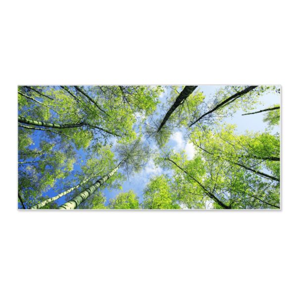 Banjado Magnettafel 78x37cm Magnetwand  Weiß Aus Metall Magnetpinnwand Pinnwand Inkl. 4 Magnete Motiv Zwischen Bäumen 3