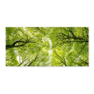 Banjado Magnettafel 78x37cm Magnetwand  Weiß Aus Metall Magnetpinnwand Pinnwand Inkl. 4 Magnete Motiv Zwischen Bäumen