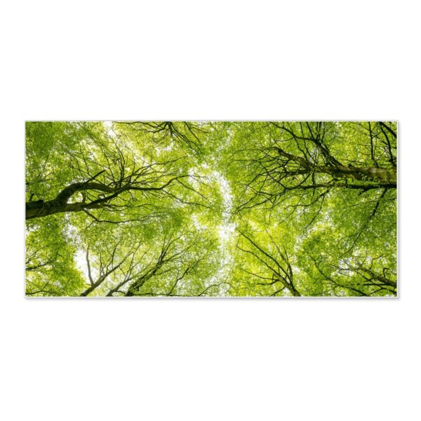 Banjado Magnettafel 78x37cm Magnetwand  Weiß Aus Metall Magnetpinnwand Pinnwand Inkl. 4 Magnete Motiv Zwischen Bäumen