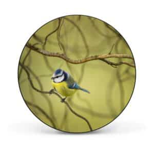 Banjado Magnettafel Rund Größe 47cm Magnetwand Schwarz Aus Metall Magnetpinnwand Pinnwand Motiv Blaumeise Im Baum