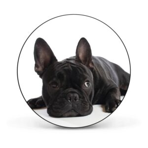 Banjado Magnettafel Rund Größe 47cm Magnetwand Schwarz Aus Metall Magnetpinnwand Pinnwand Motiv Bulldogge