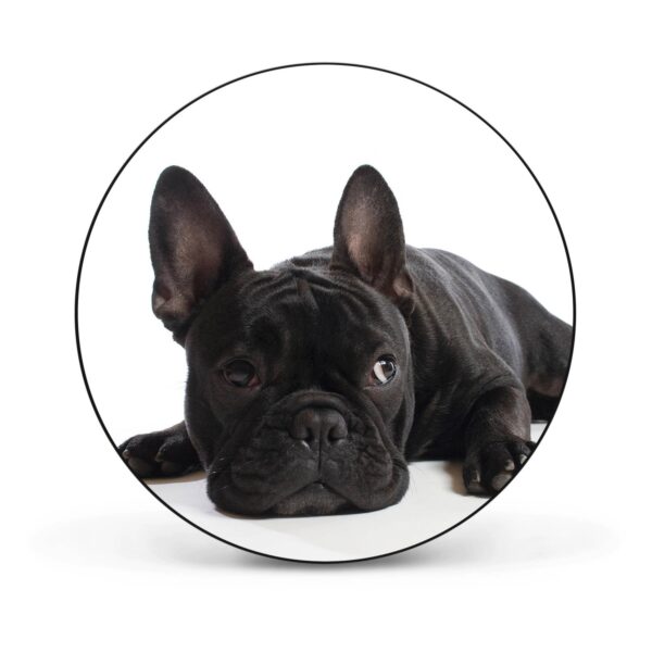 Banjado Magnettafel Rund Größe 47cm Magnetwand Schwarz Aus Metall Magnetpinnwand Pinnwand Motiv Bulldogge